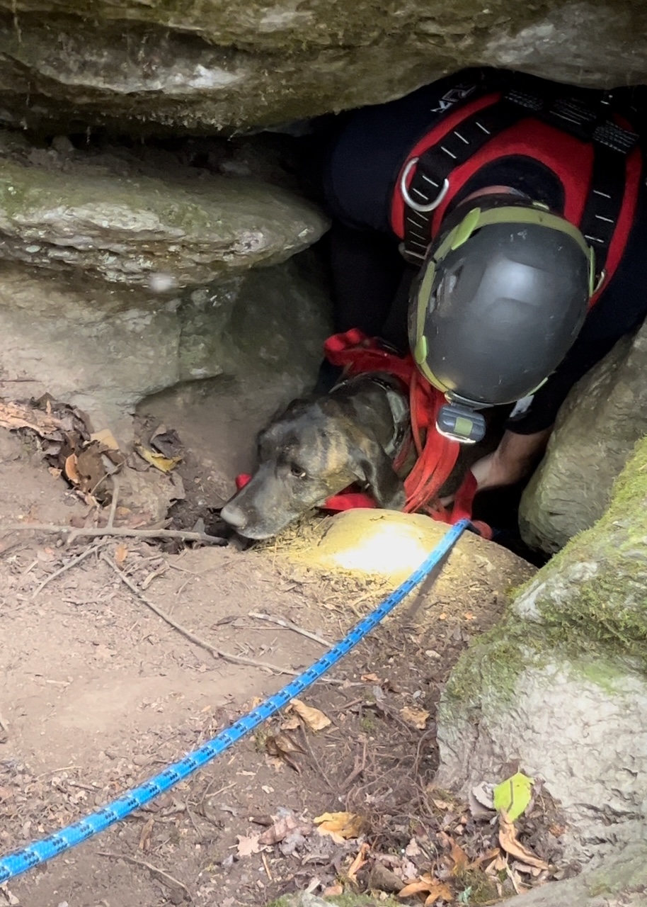 man saving a dog from cave