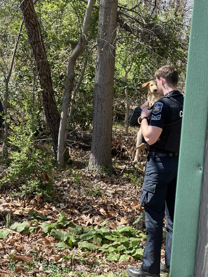 officer and abandoned dog