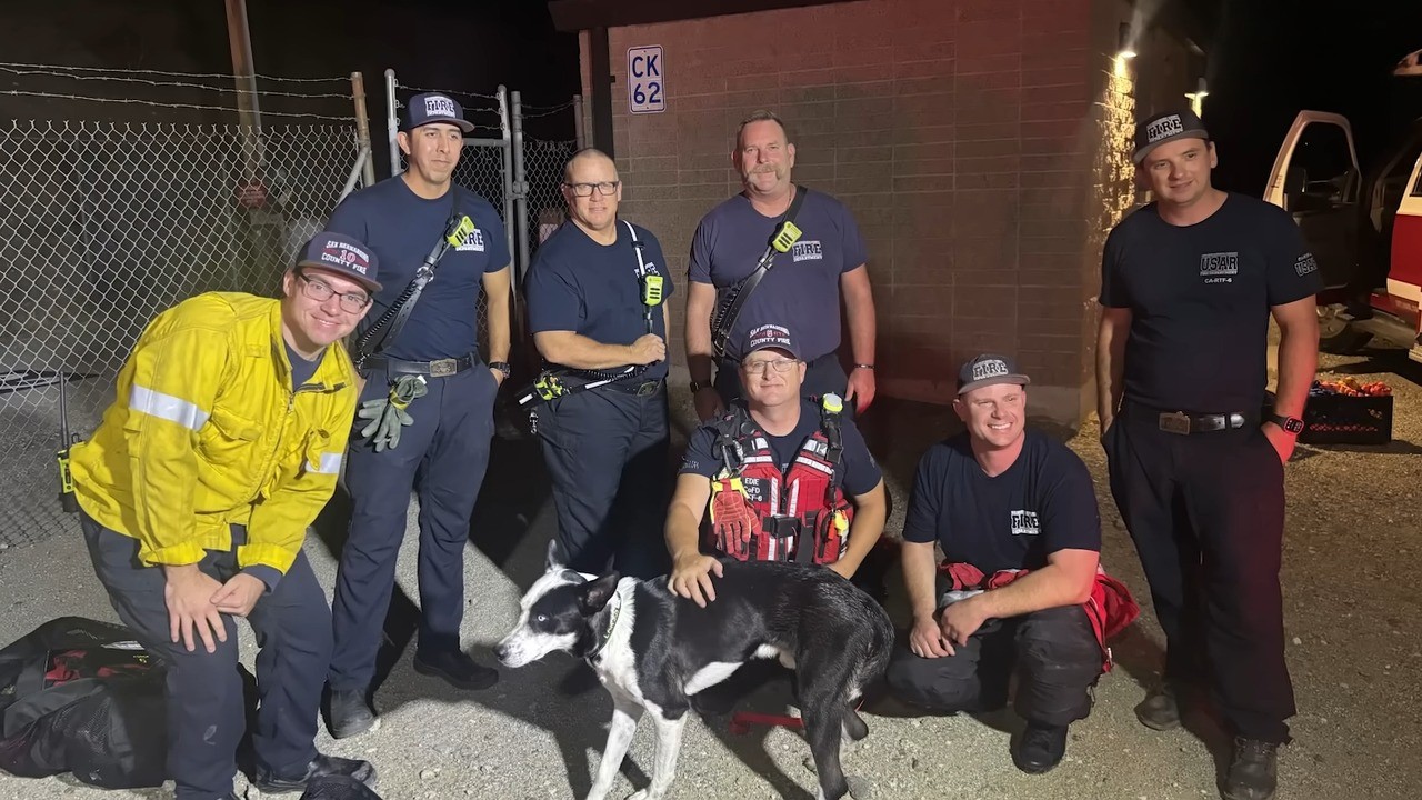 people and saved dog