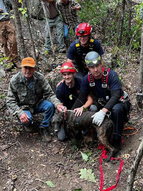 rescuers and dog in forest