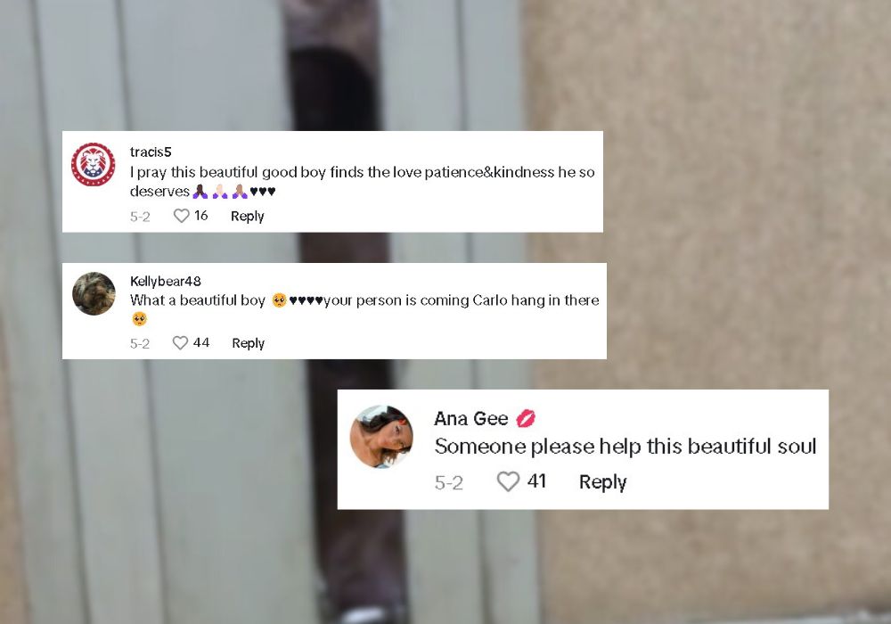 screenshot of a conversation about a dog