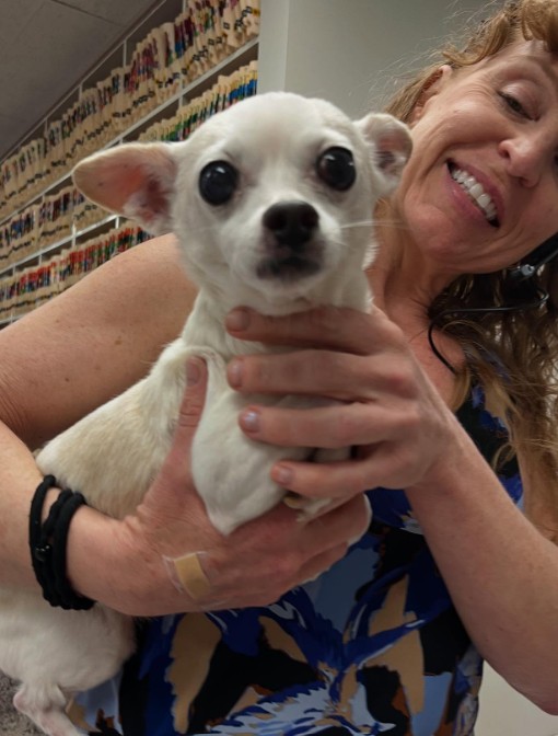 smiling woman holding a white puppy