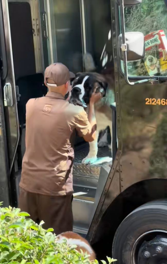 truck driver and dog