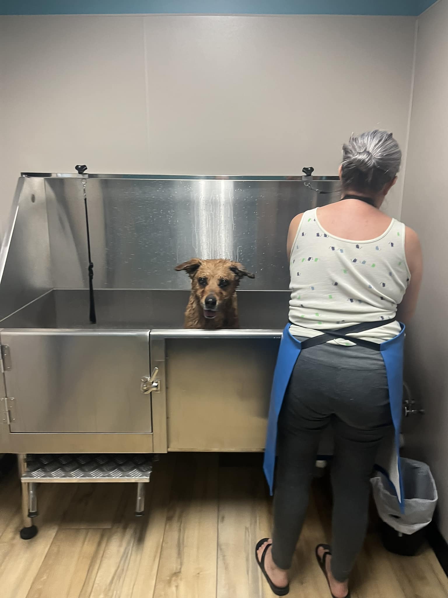 woman and adopted brown dog