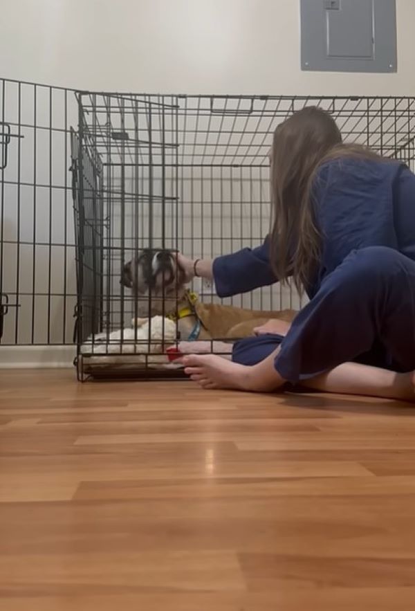 woman and adopted dog in house