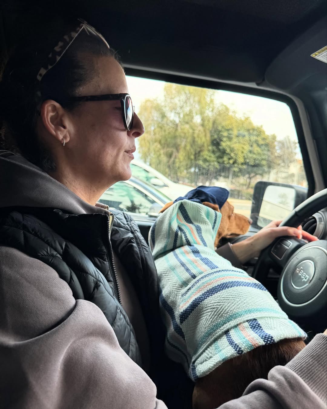 woman and dog in car