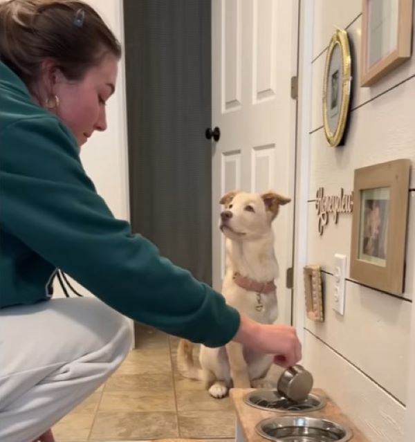 woman and dog in house