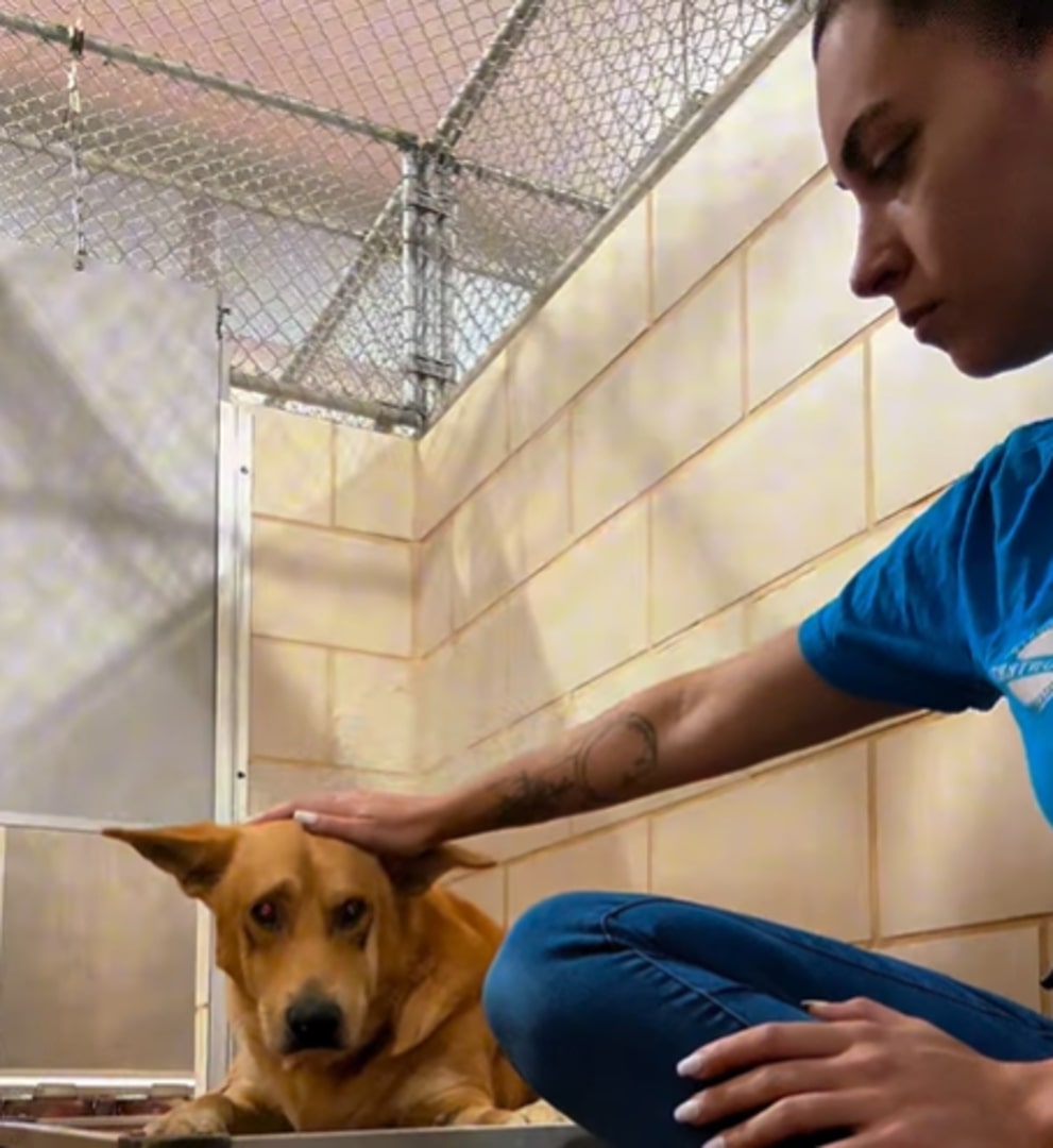 woman and dog in shelter