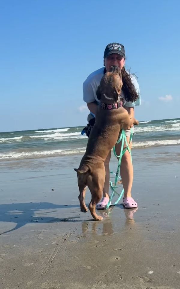 woman and dog on beach