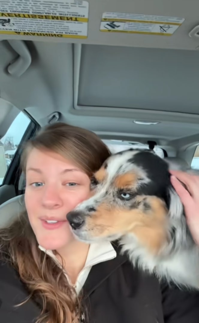 woman and sweet dog in car