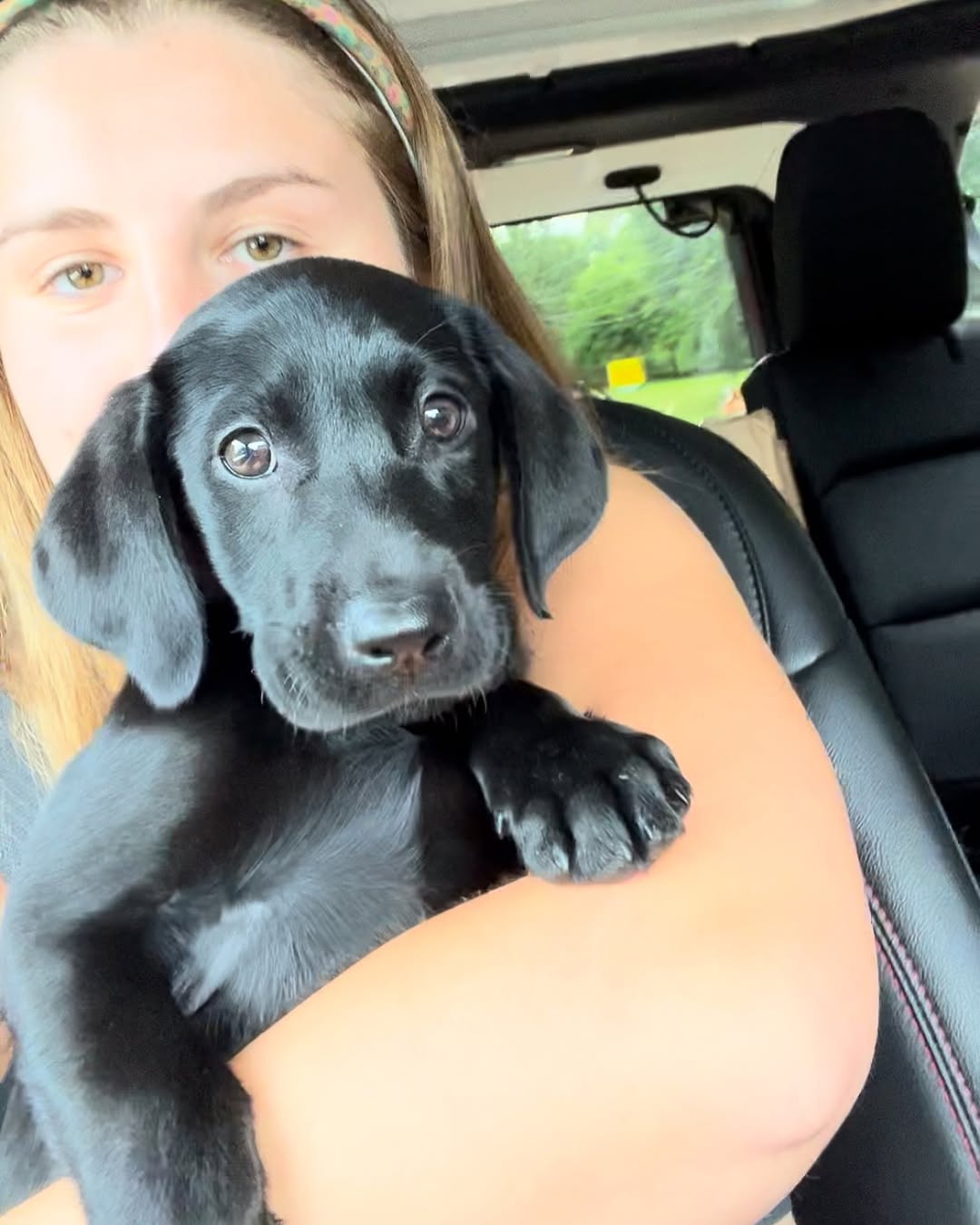 woman and tiny black dog