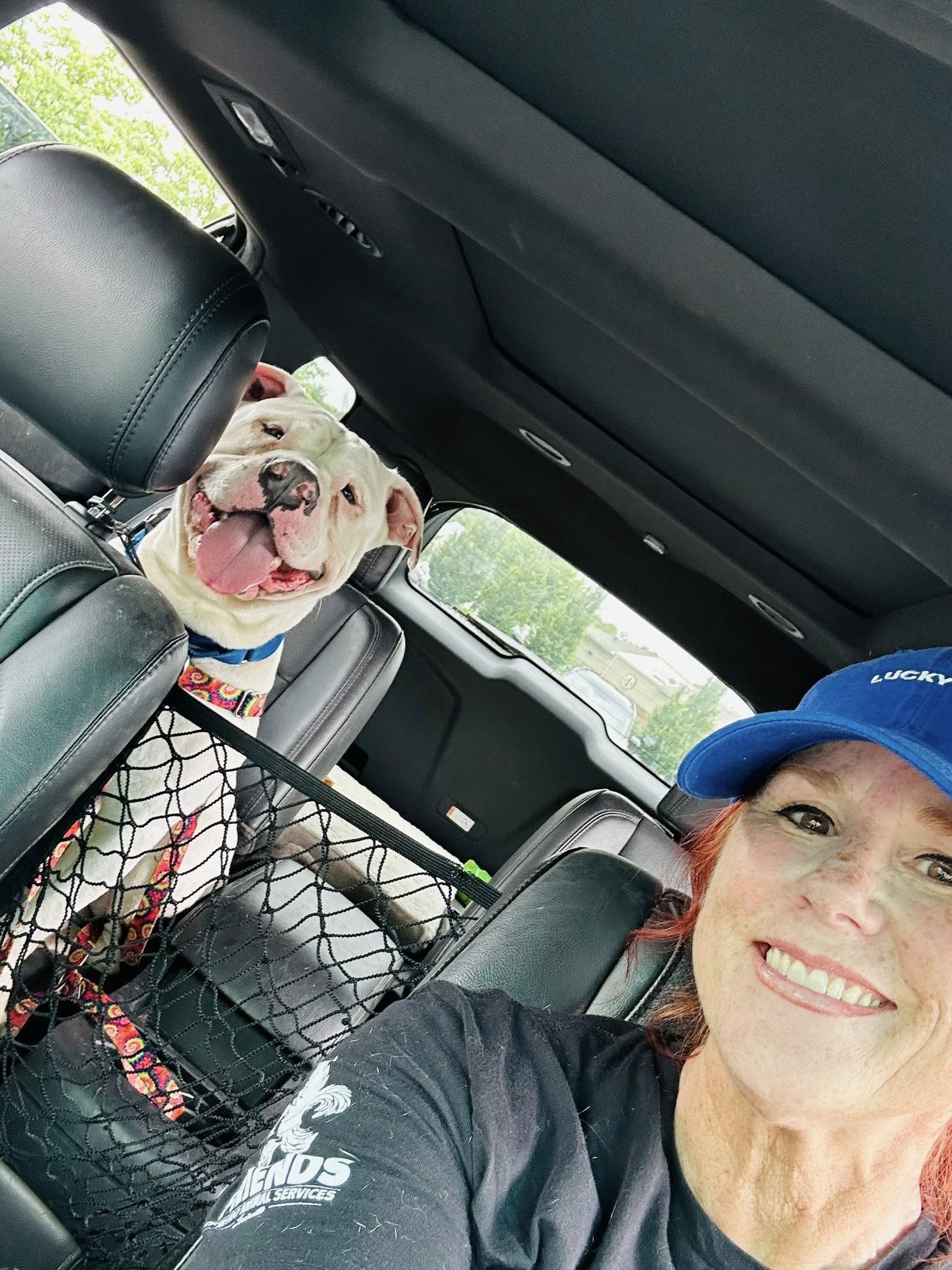 woman and white dog in car