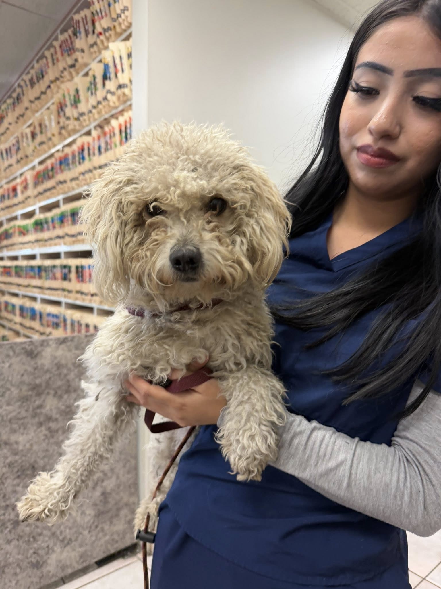 woman holding a fluffy dog