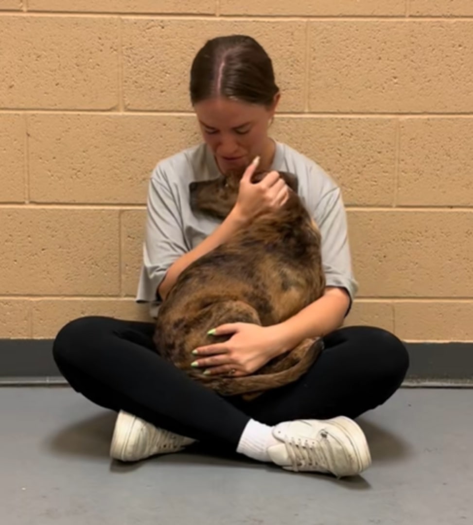 woman hugging a paralyzed dog
