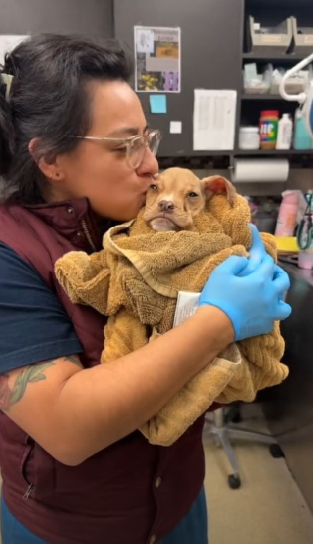 woman kissing a puppy