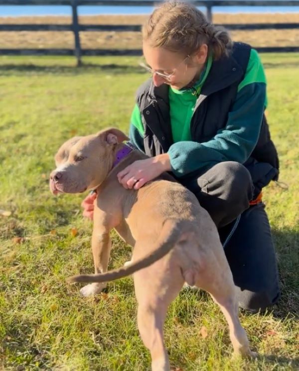 woman playing with dog