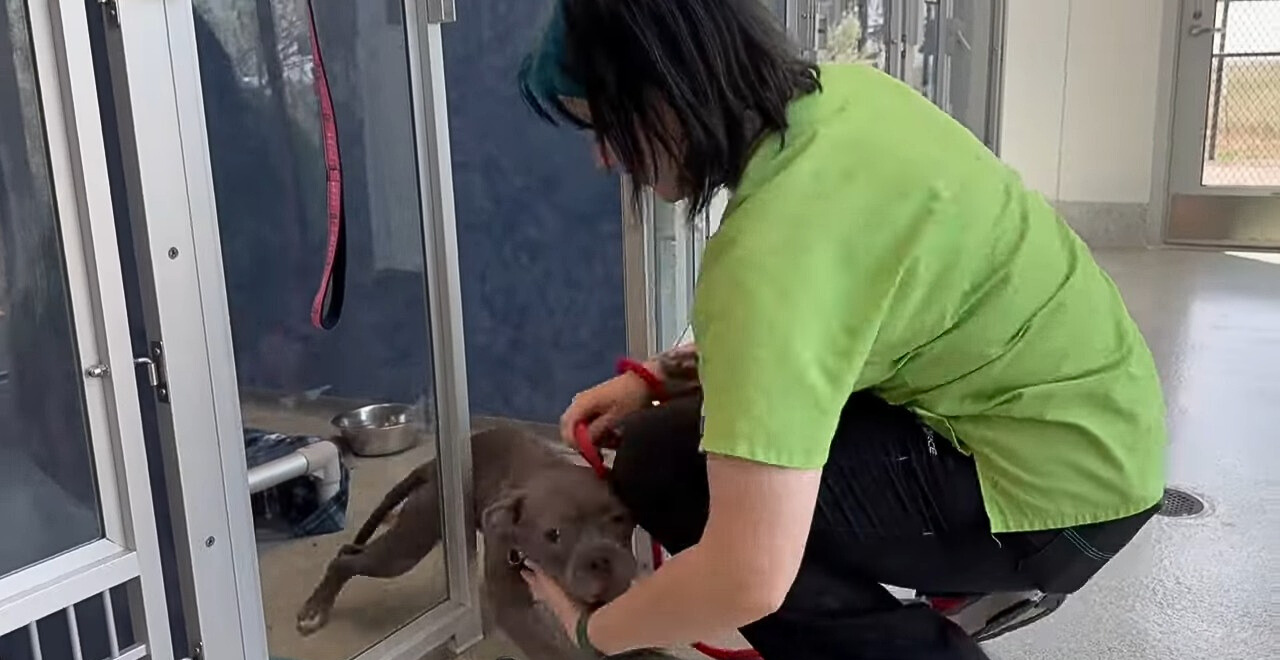 woman with dog in shelter