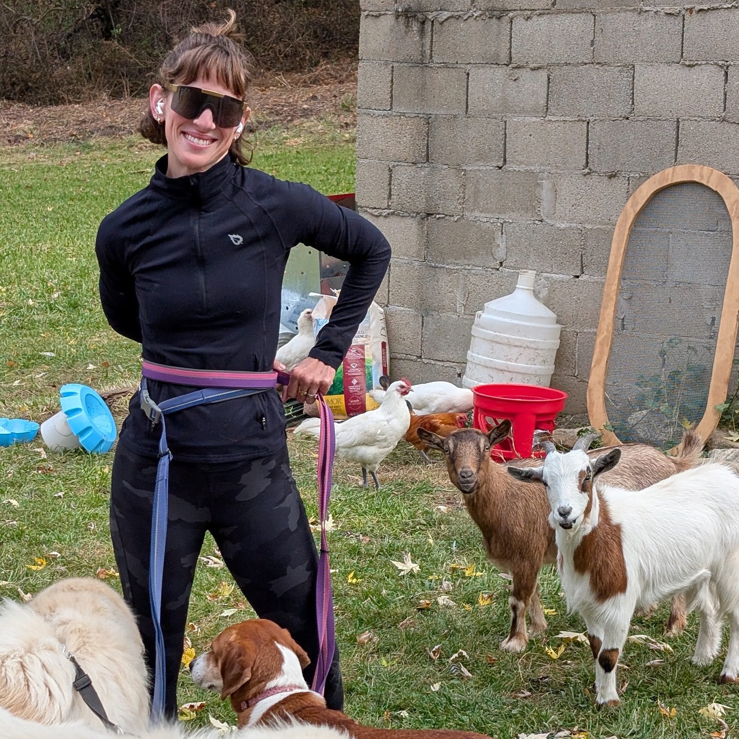 woman with dogs and goats