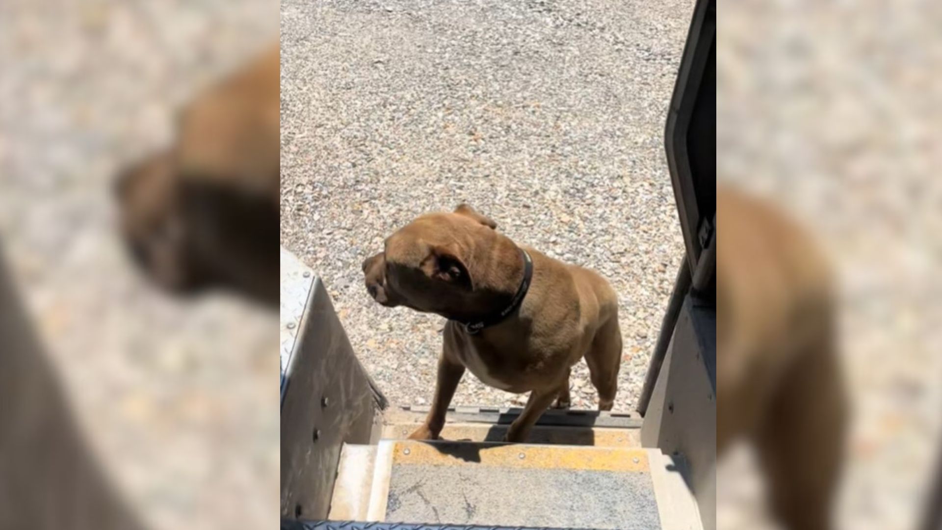 A Texas UPS Driver&rsquo;s Daily Route