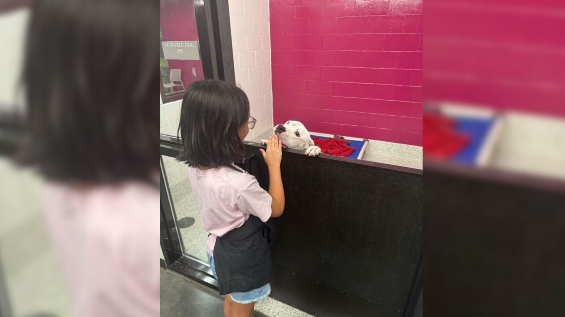girl and shelter dog