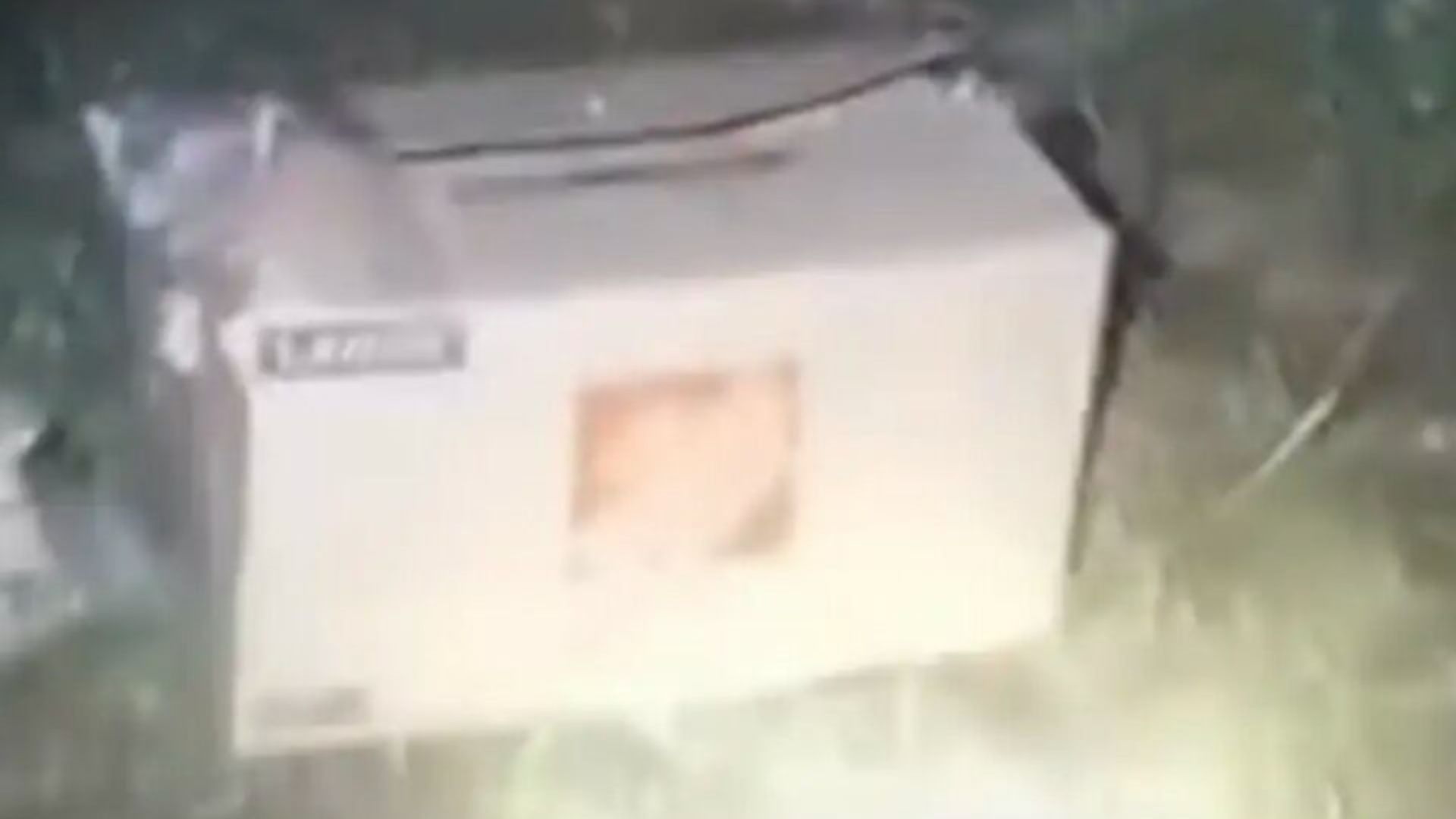 Indiana Woman Walking Her Dog Opens A Box