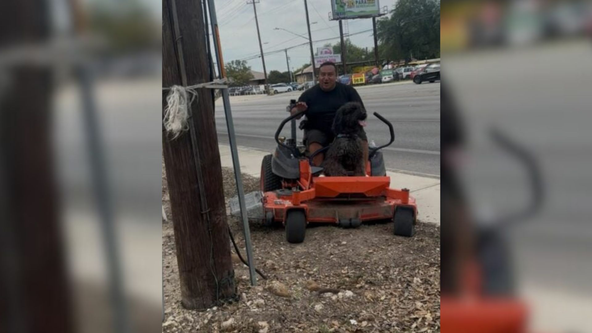 The dog rides with the man