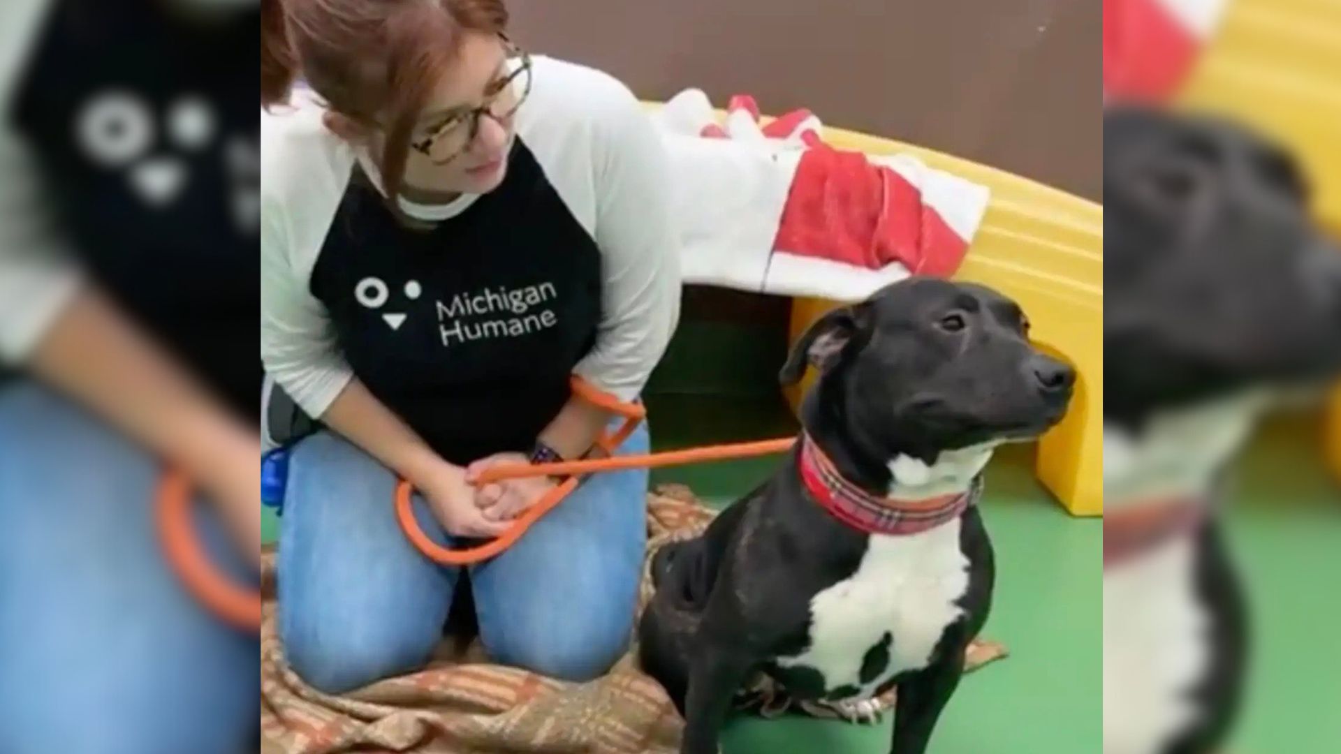 woman and dog on leash