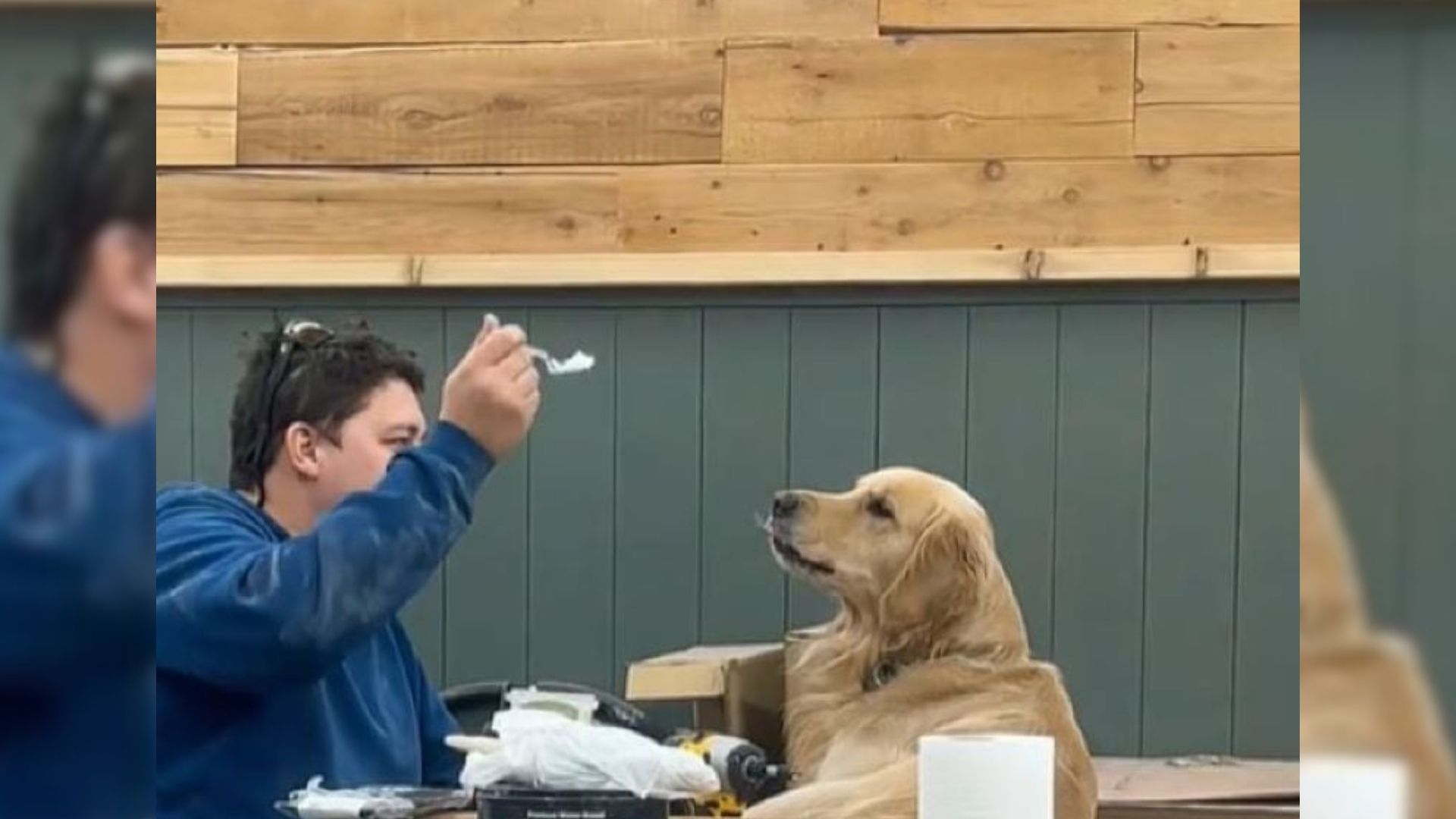 man playing with dog