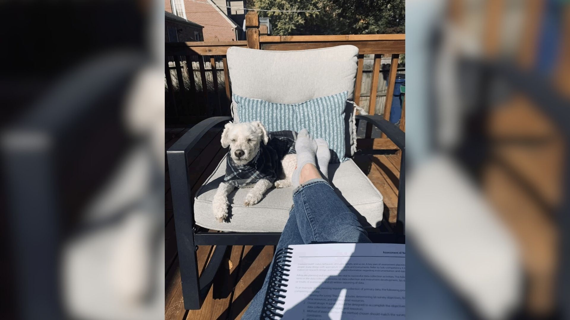 Missouri Family Picks Up Dog From Groomer And Quickly Realizes Something Is Wrong