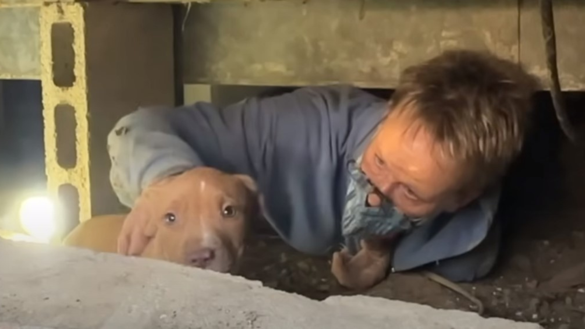 man rescuing dog from crawlspace