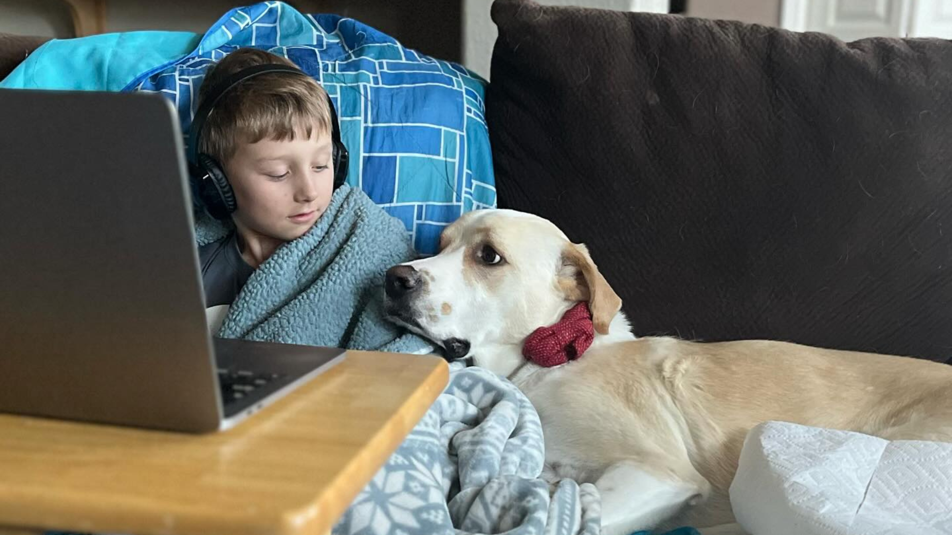 dog and boy spending time