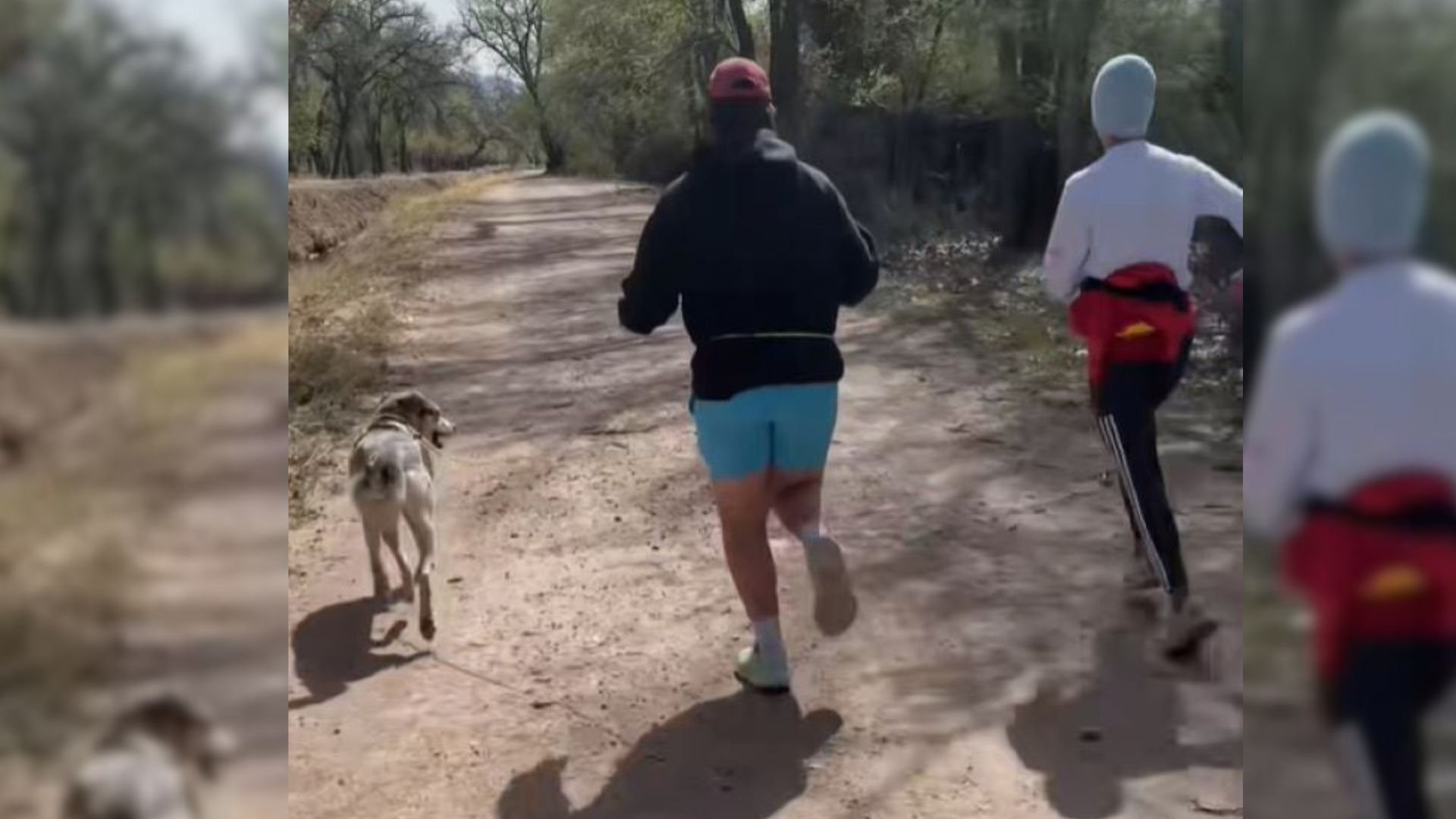 people and dog running