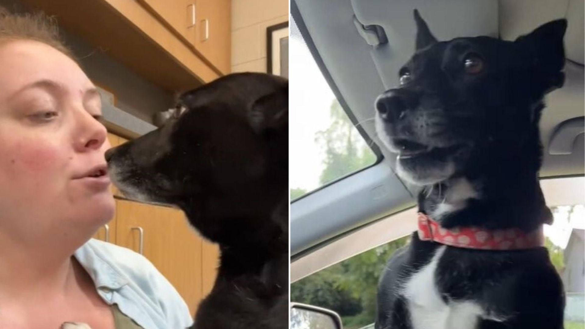 woman and adopted dog