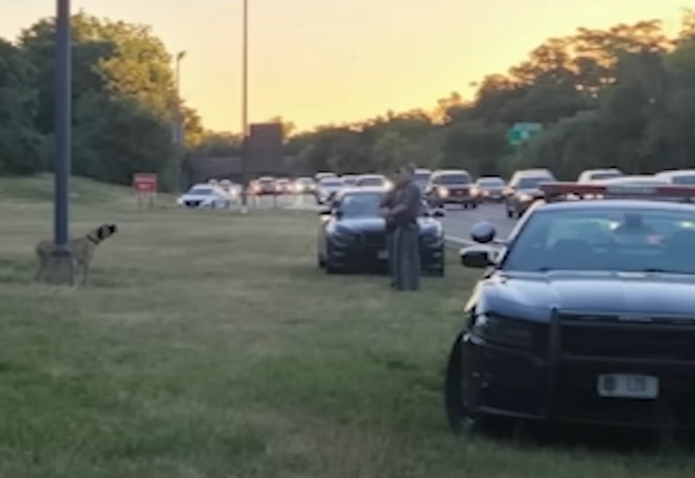 The dog by the stairs barks at the women