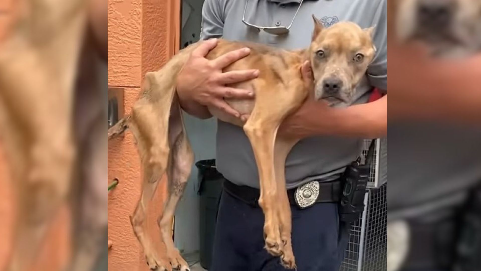 man holding a skinny dog