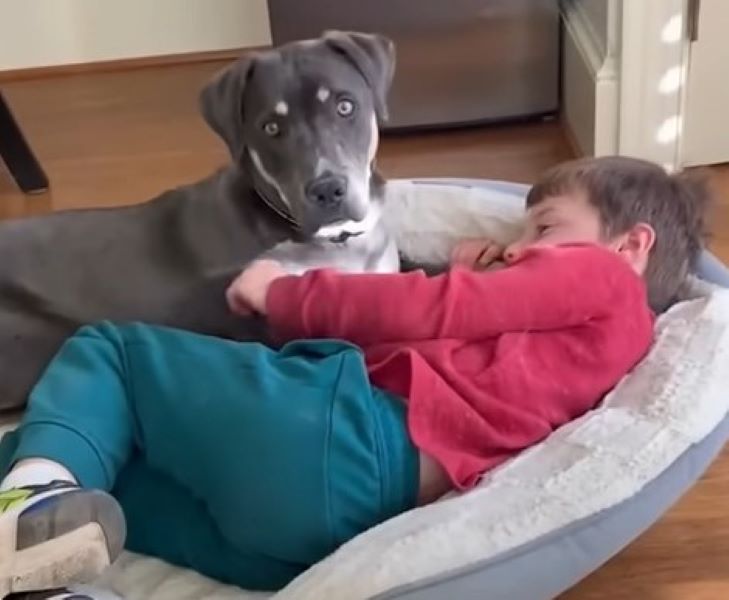 kid and dog laying down