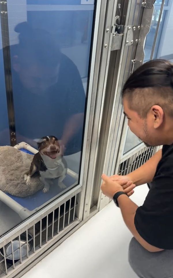 man and sweet dog in shelter