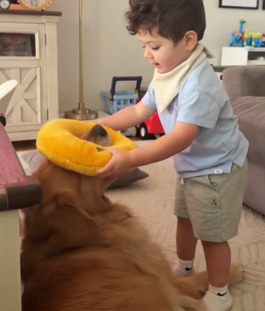 small kid and dog