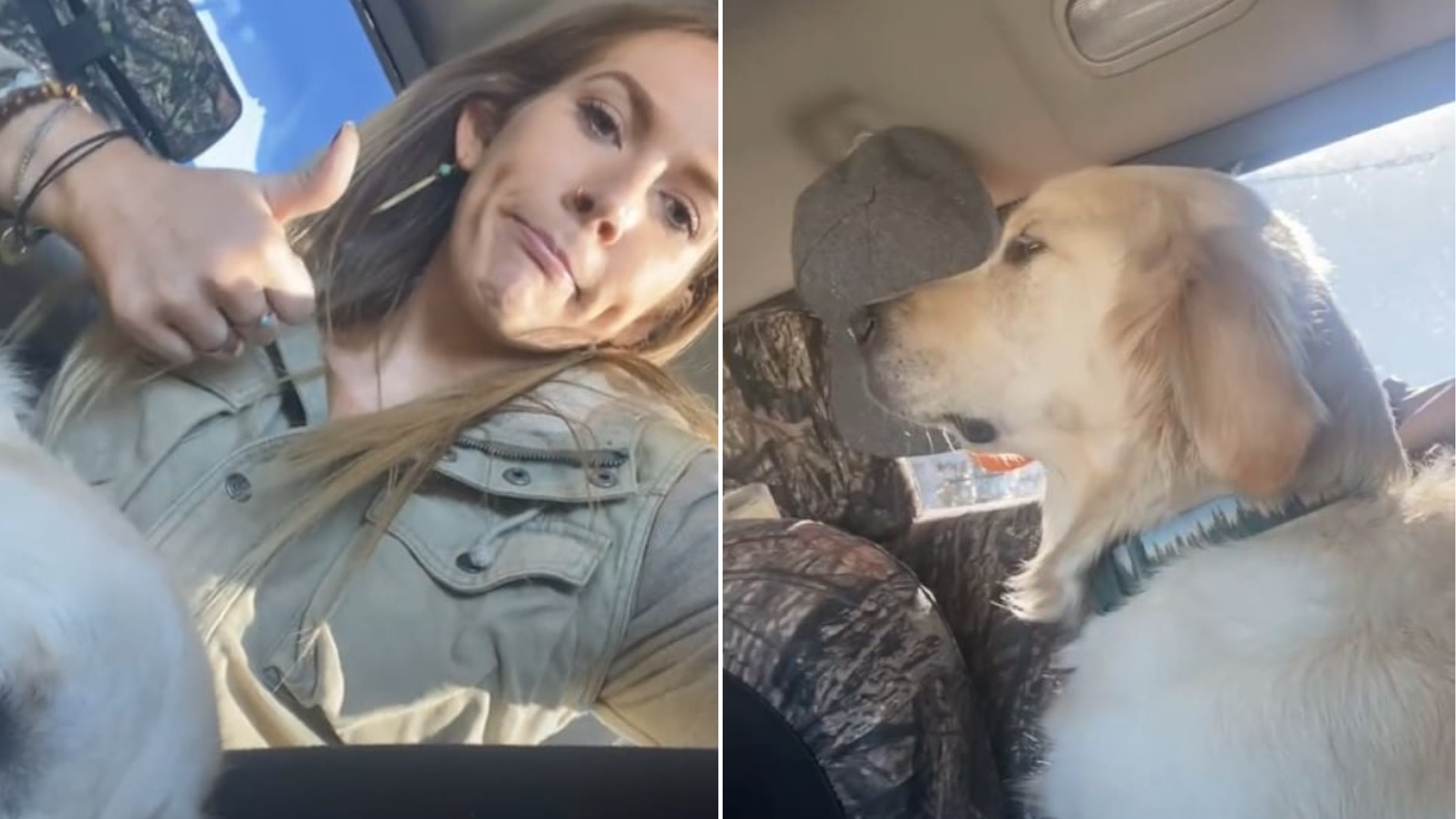 woman and dog in car