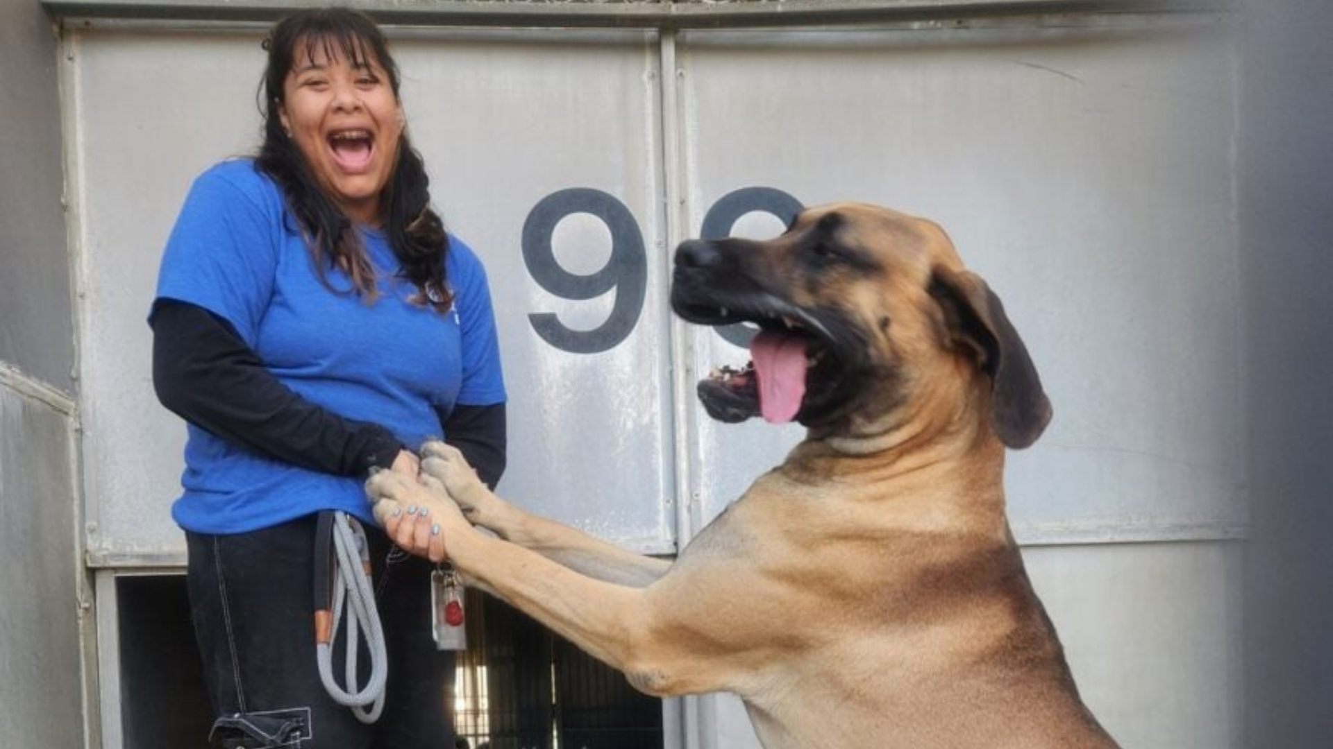 woman and huge dog