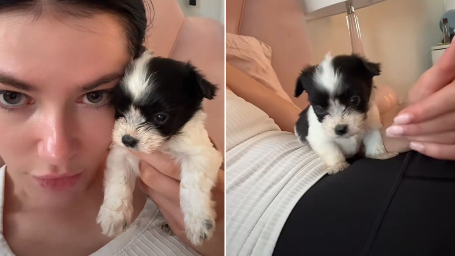 woman and sweet puppy