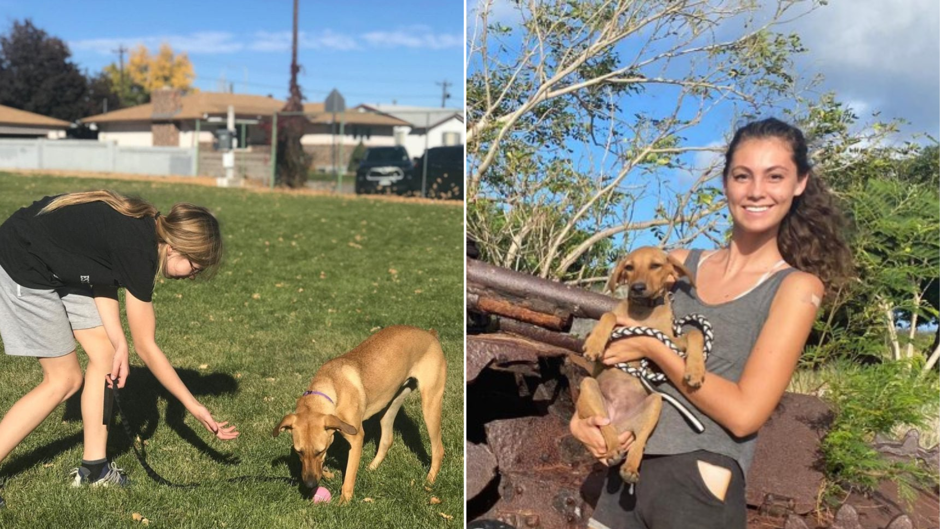 woman with dog outdoors