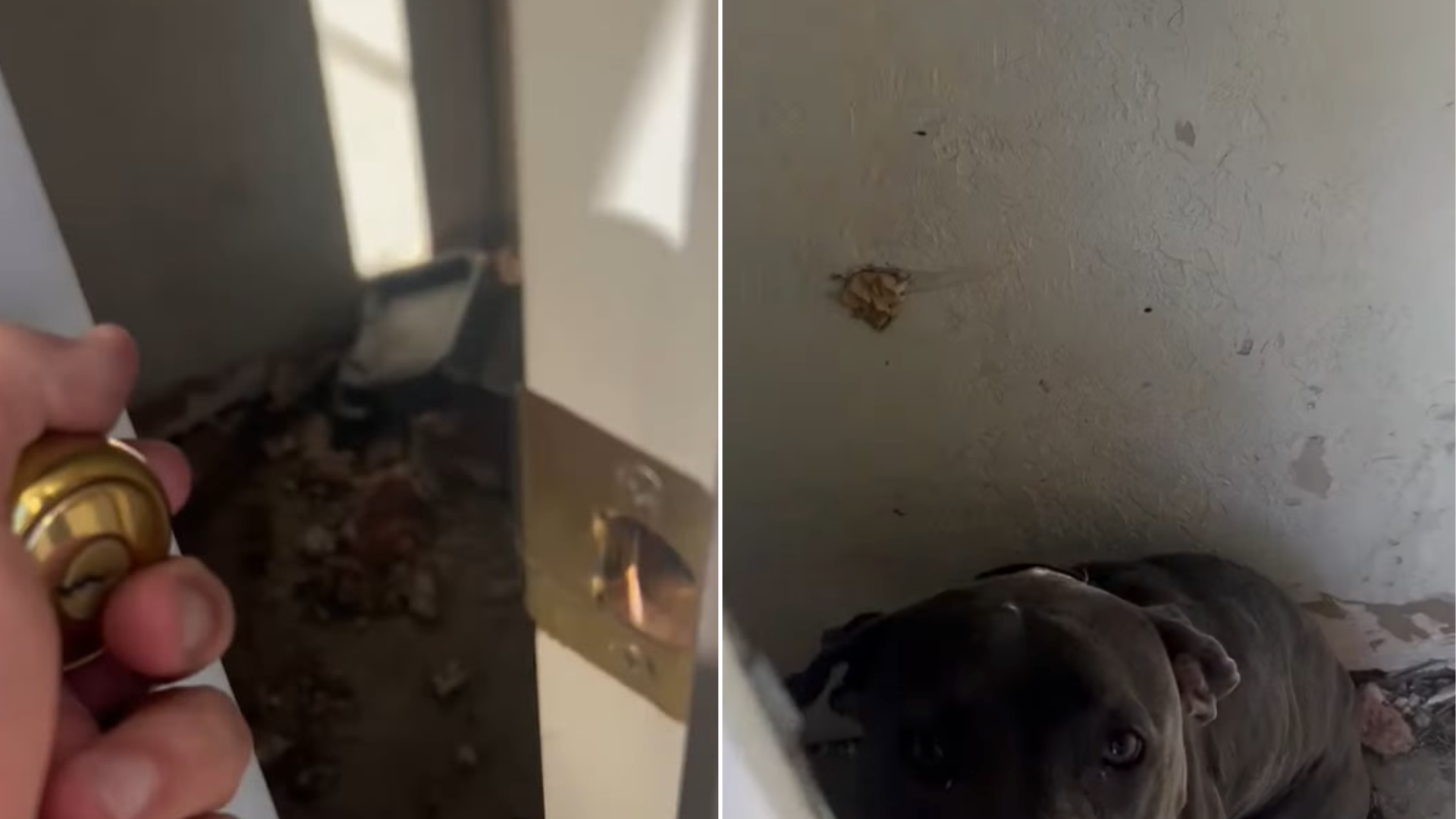 door to an abandoned house slightly opened