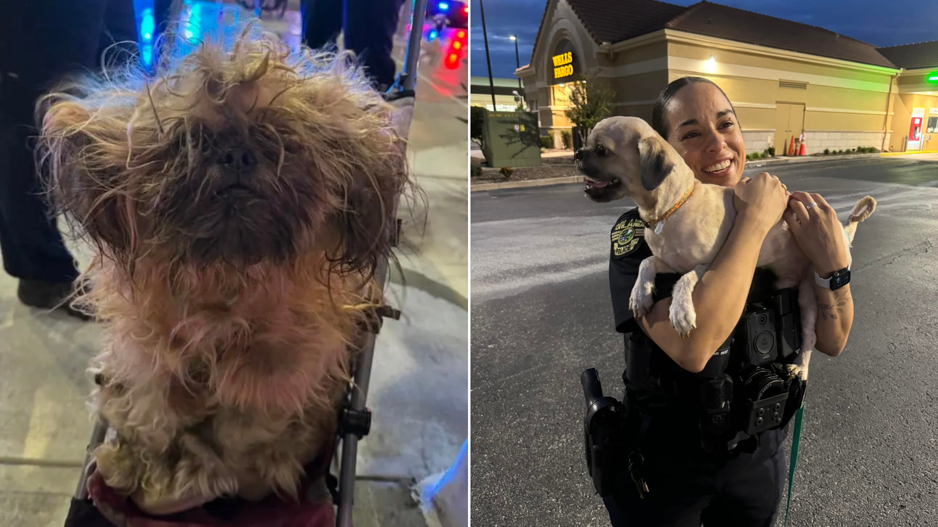 woman holding dog she found