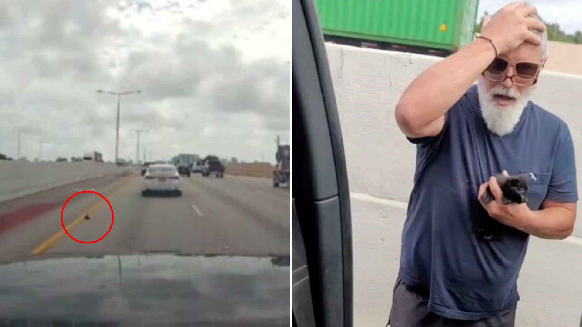 man with a tiny kitten