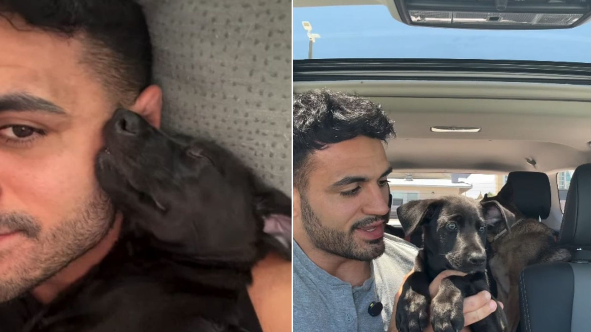 man and tiny black dog