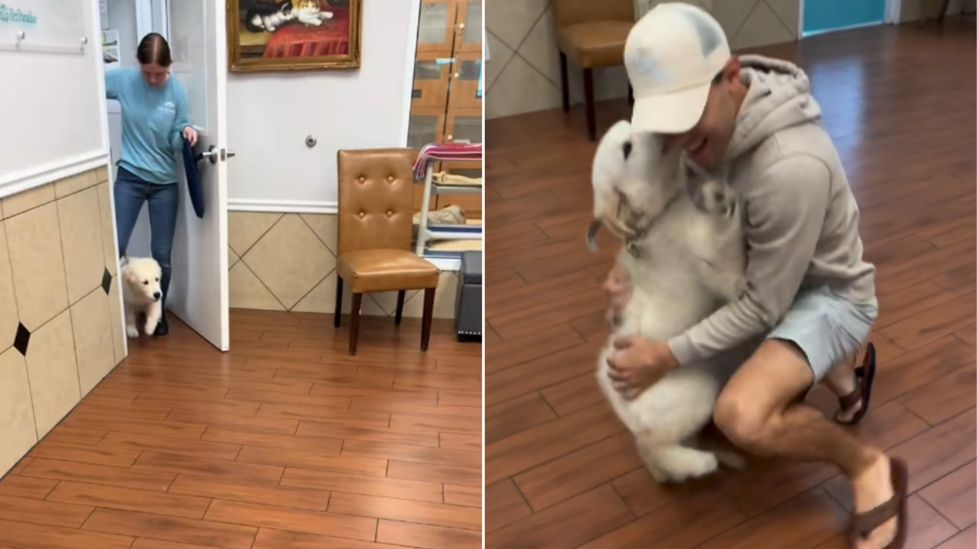 dog hugging man