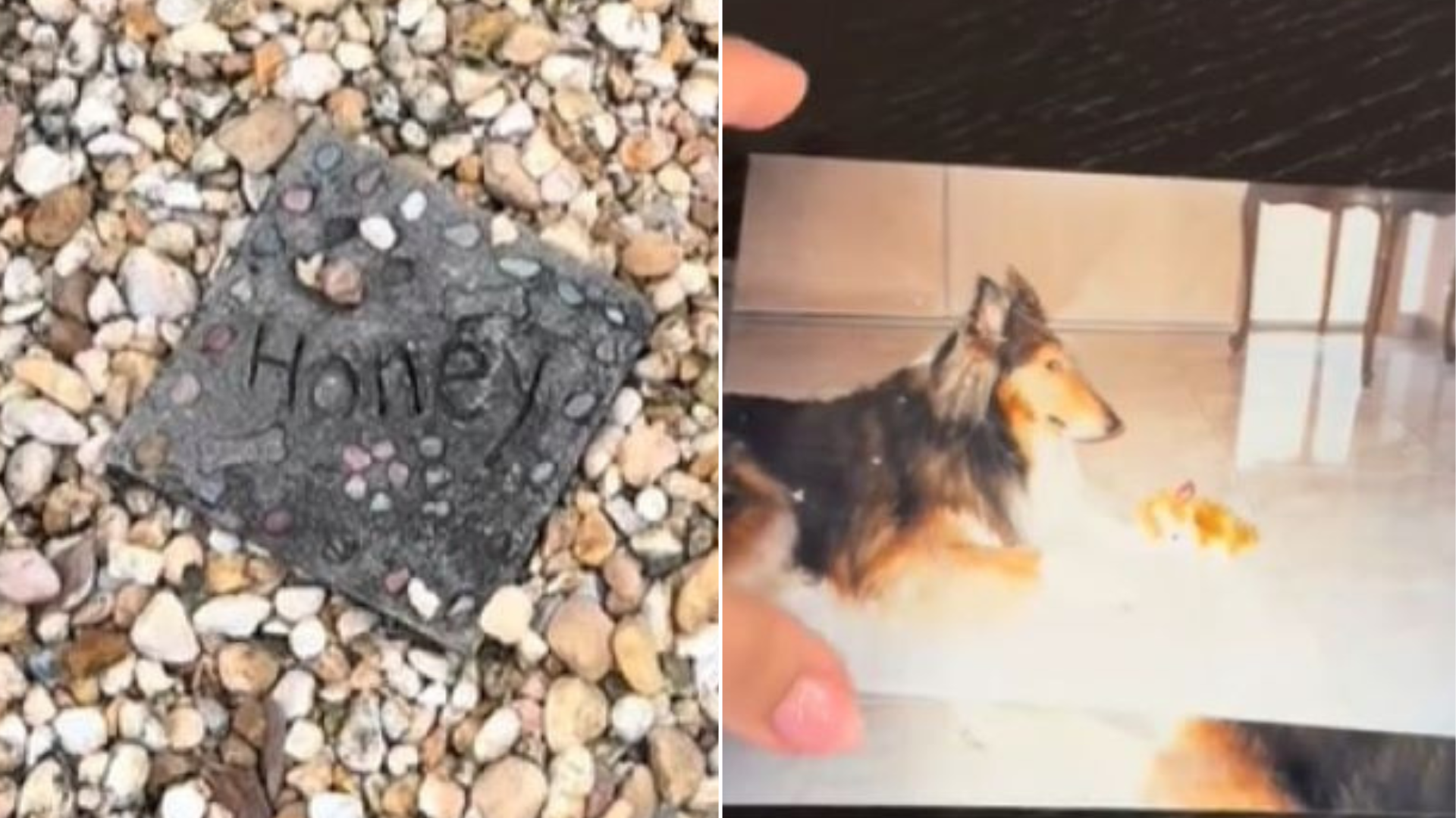 pet headstone and photos