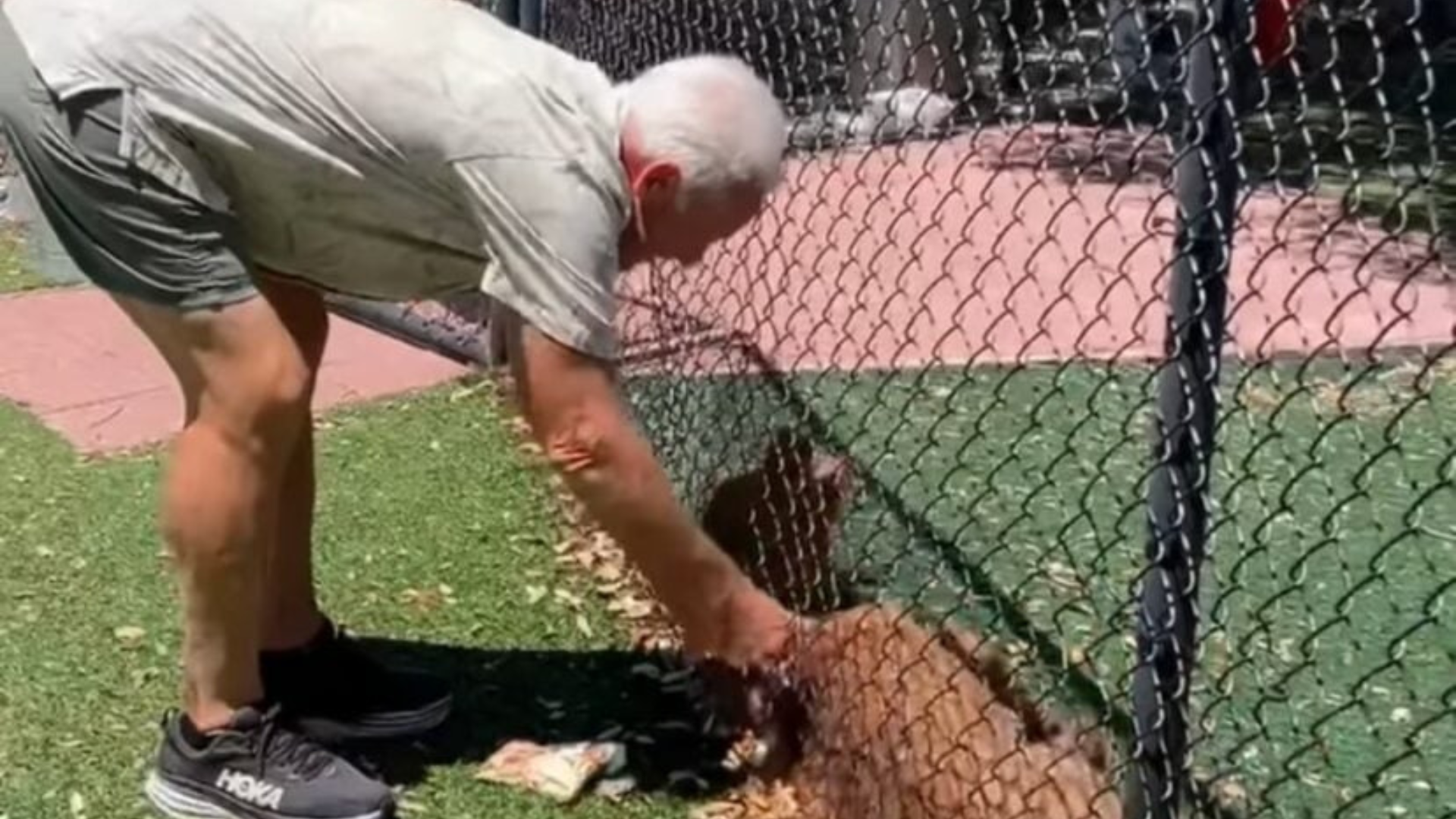 man playing with dog in shelter