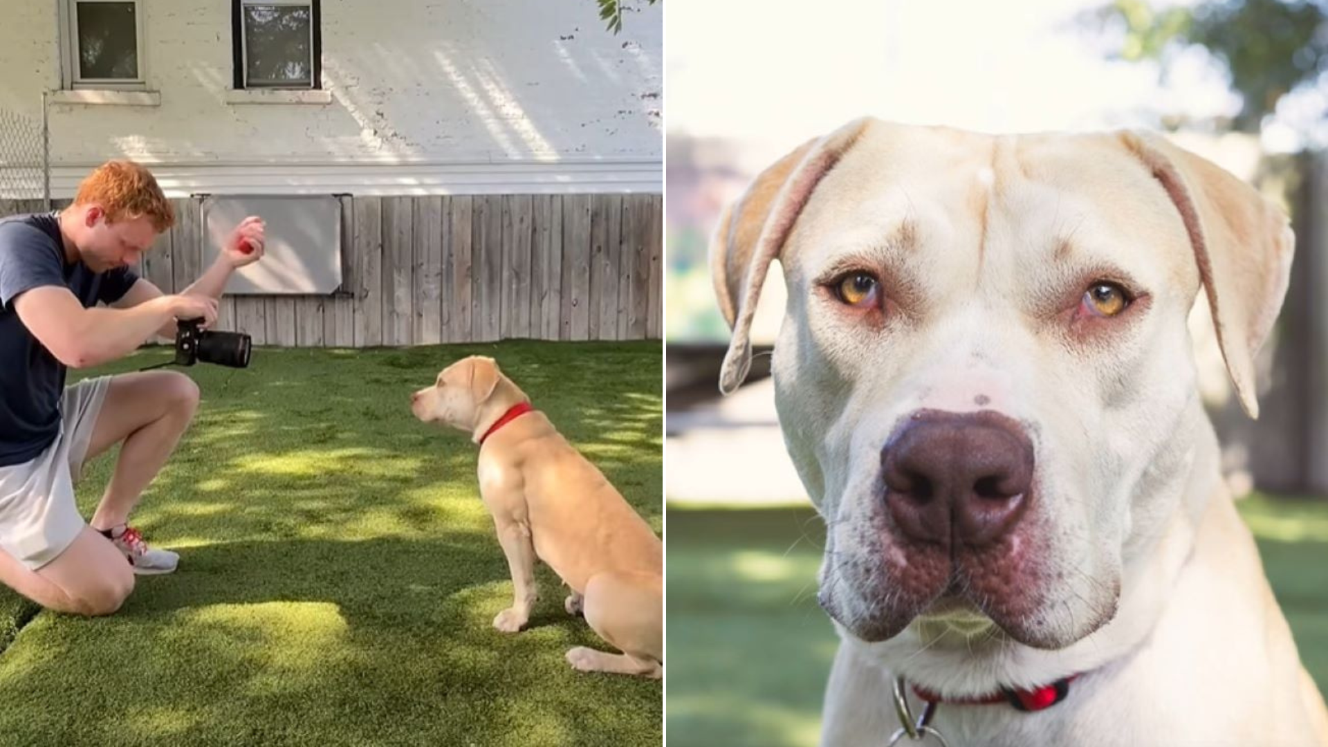 man taking photo of dog